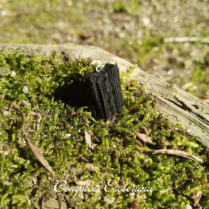 pendentif tourmaline noire signification
