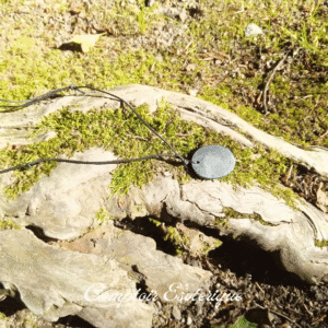 pendentif shungite bienfaits
