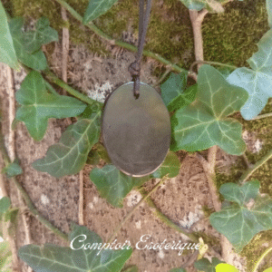 pendentif shungite chakra