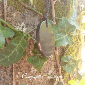 pendentif shungite protection